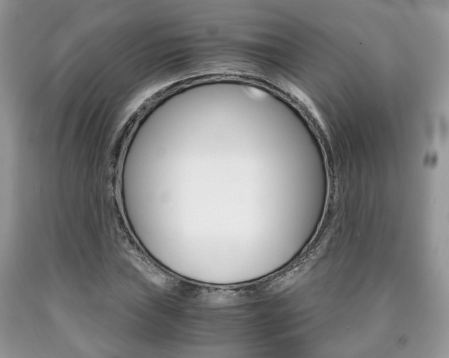 X0000090761019200707201049