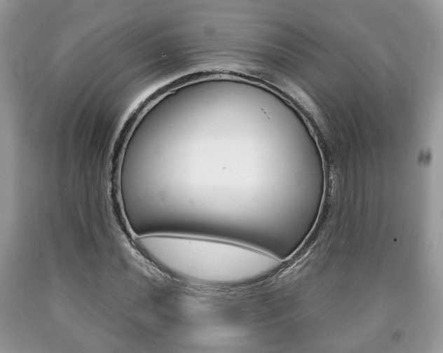 X0000090761020200707201049