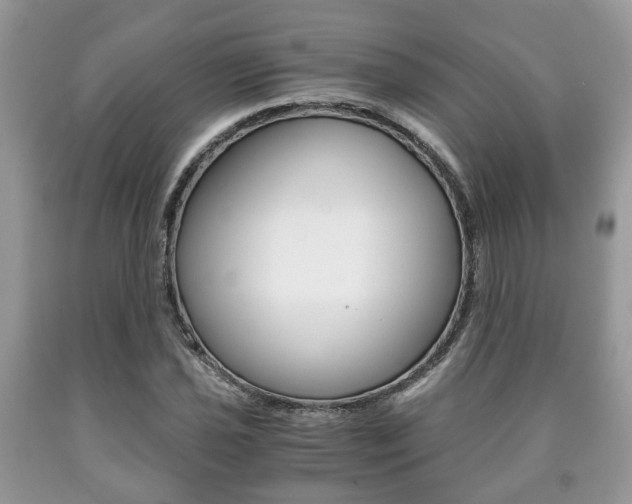 X0000090761021200707201049