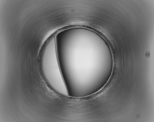 X0000090761022200707201049