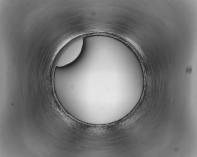 X0000090761023200707201049