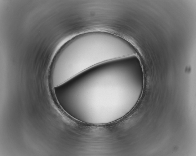 X0000090761024200707201049