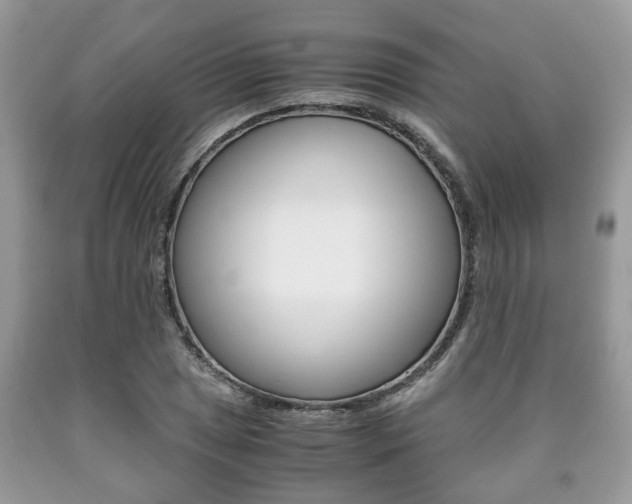 X0000090761025200707201049