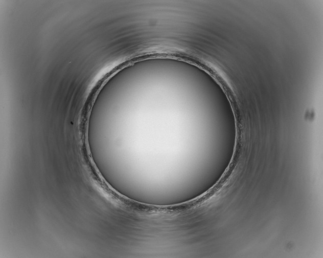 X0000090761026200707201049