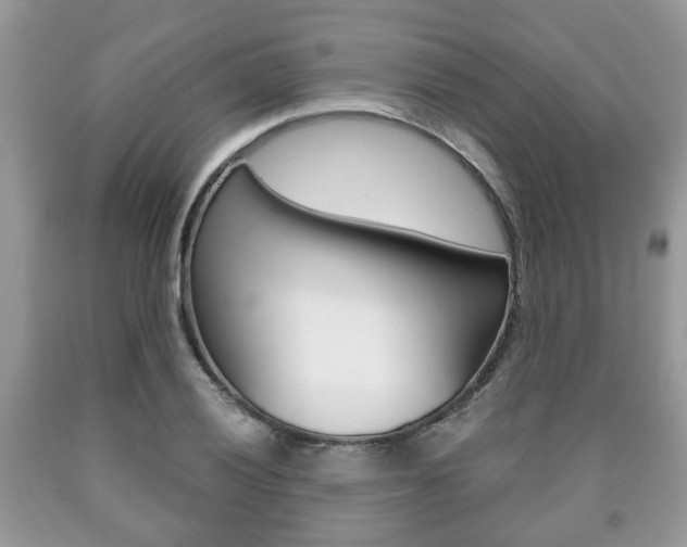 X0000090761028200707201049