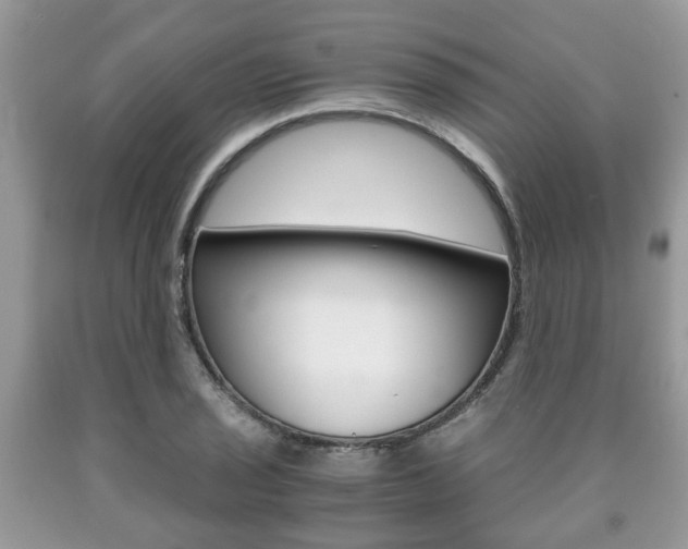 X0000090761029200707201049