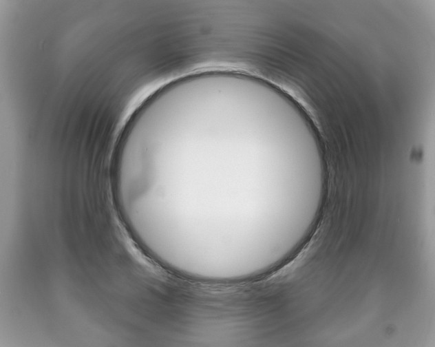 X0000090761030200707201049