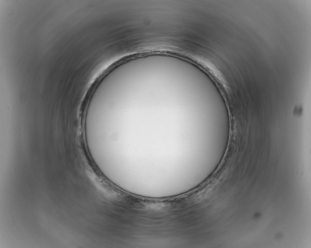 X0000090761031200707201049