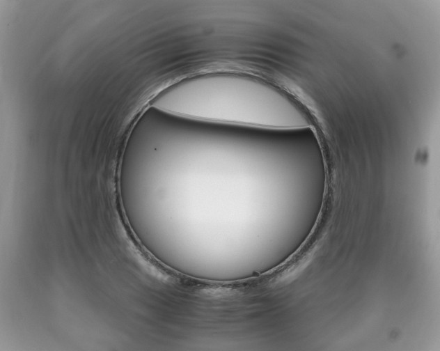 X0000090761033200707201049