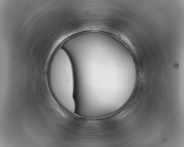 X0000090761035200707201049