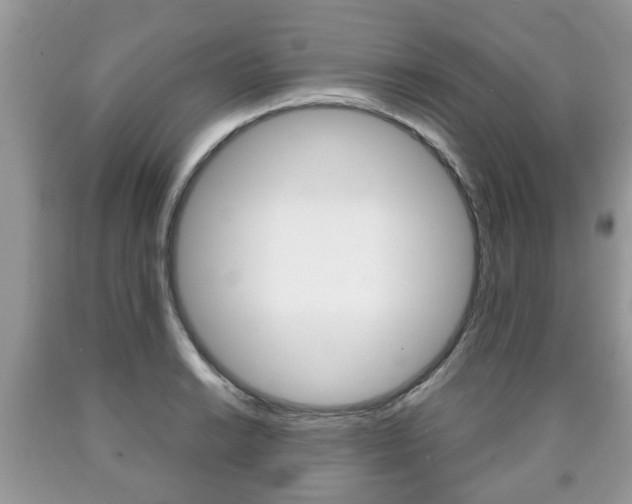 X0000090761038200707201049
