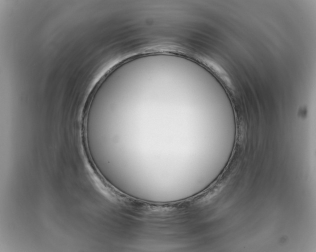 X0000090761039200707201049