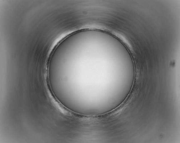 X0000090761040200707201049
