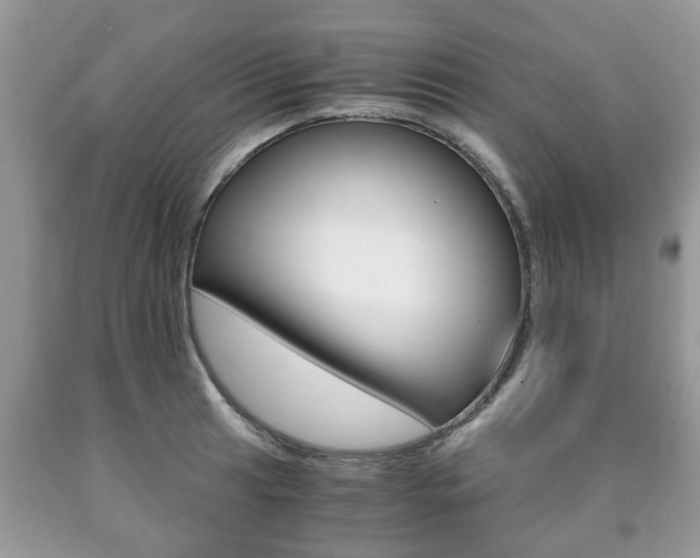 X0000090761041200707201049
