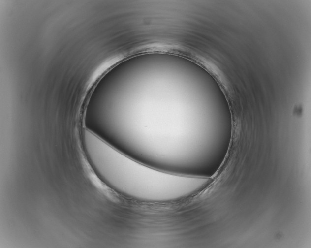 X0000090761042200707201049