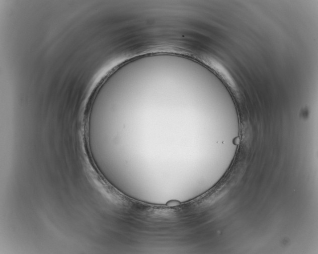 X0000090761043200707201049