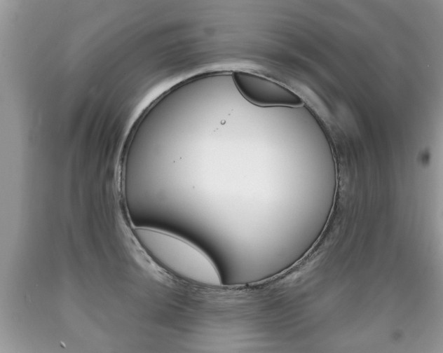 X0000090761044200707201049