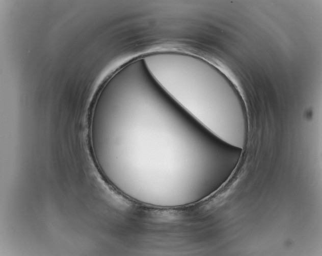 X0000090761045200707201049