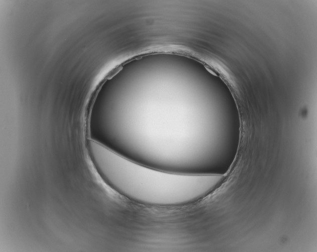 X0000090761046200707201049
