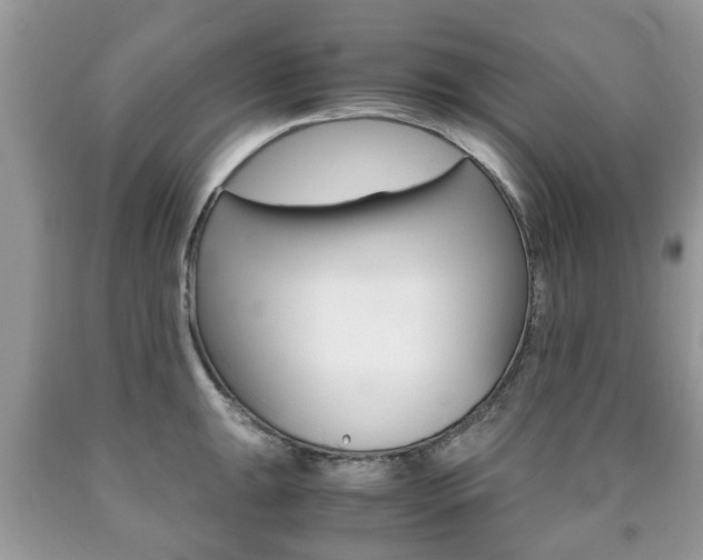 X0000090761047200707201049