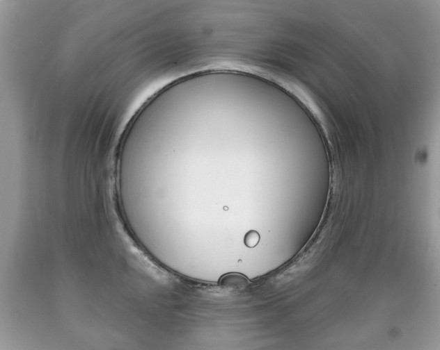 X0000090761048200707201049