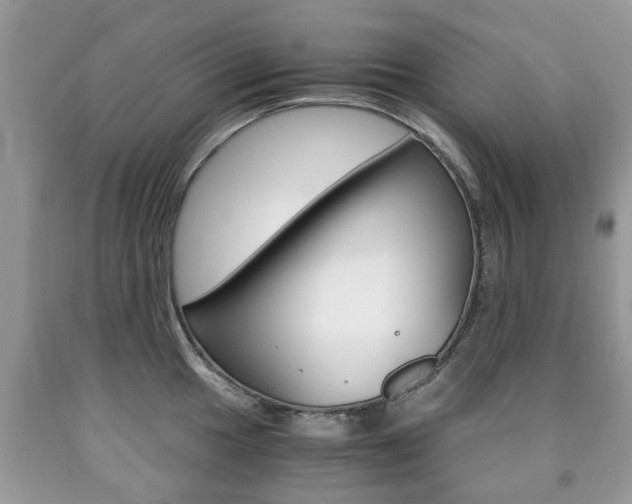 X0000090761049200707201049