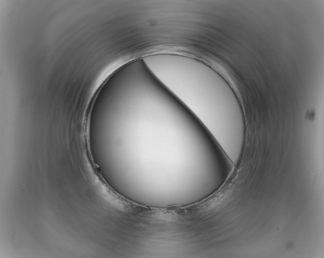 X0000090761050200707201049
