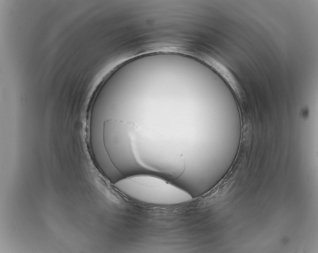 X0000090761051200707201049