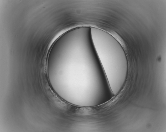 X0000090761052200707201049