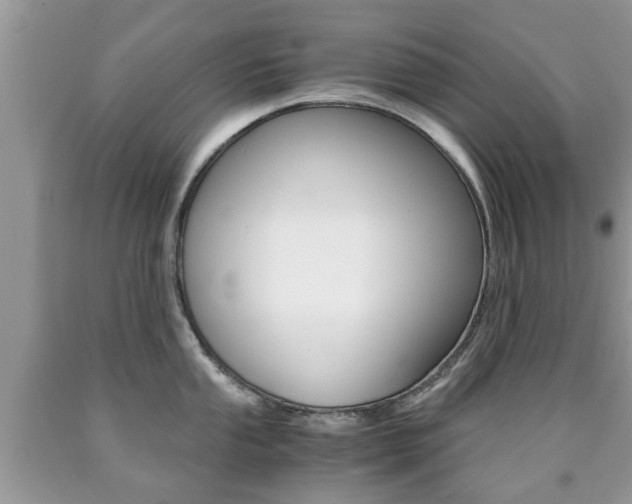 X0000090761053200707201049