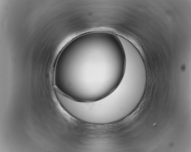 X0000090761054200707201049