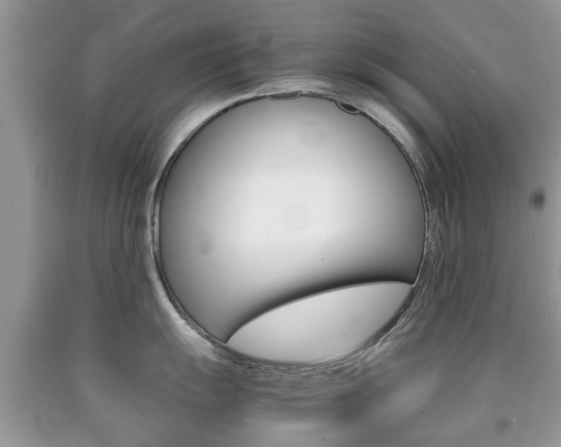 X0000090761055200707201049