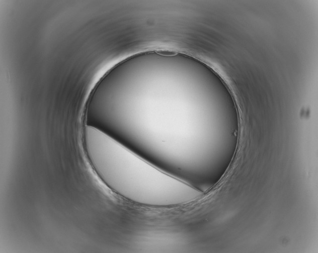 X0000090761056200707201049