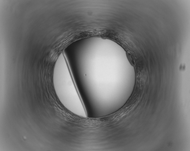 X0000090761058200707201049