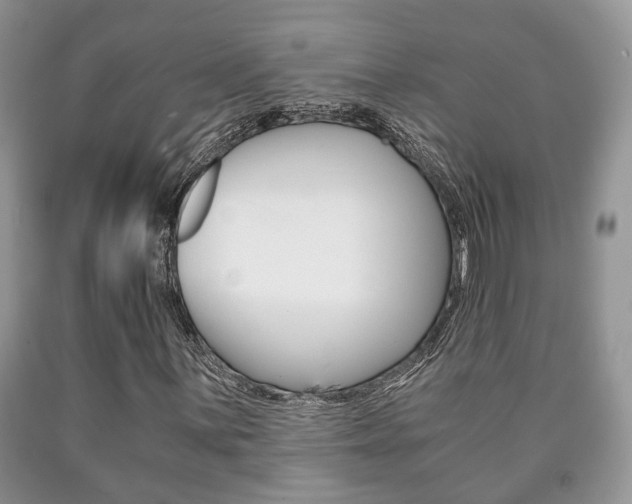 X0000090761059200707201049