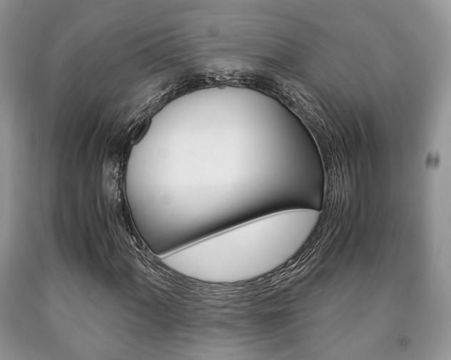 X0000090761060200707201049