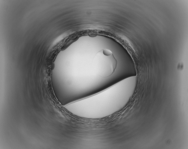X0000090761064200707201049