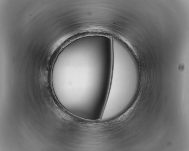 X0000090761066200707201049