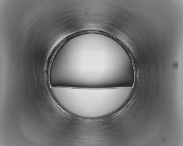 X0000090761068200707201049