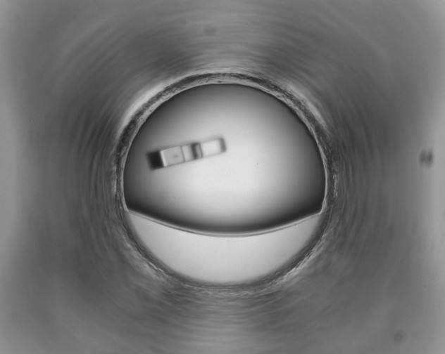 X0000090761069200707201049