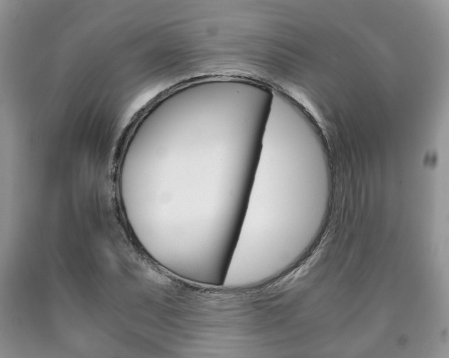 X0000090761071200707201049