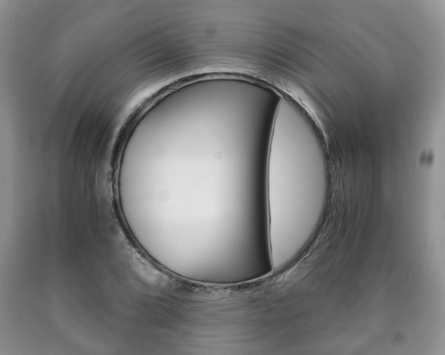 X0000090761072200707201049