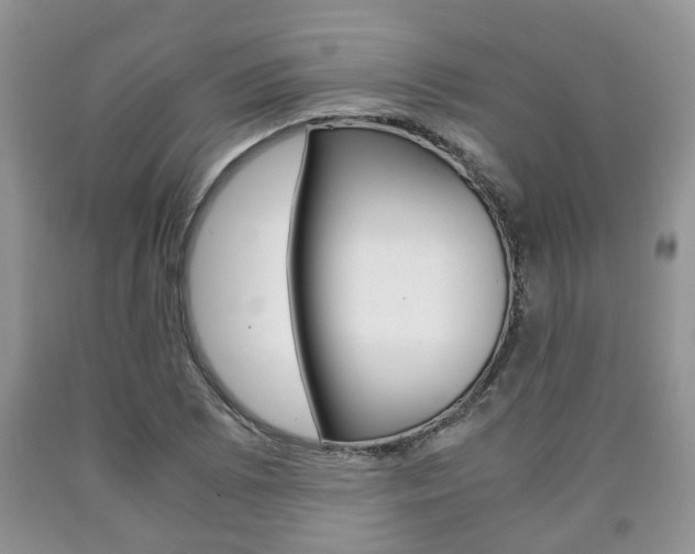 X0000090761073200707201049