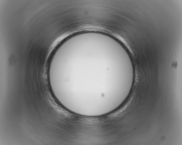 X0000090761074200707201049