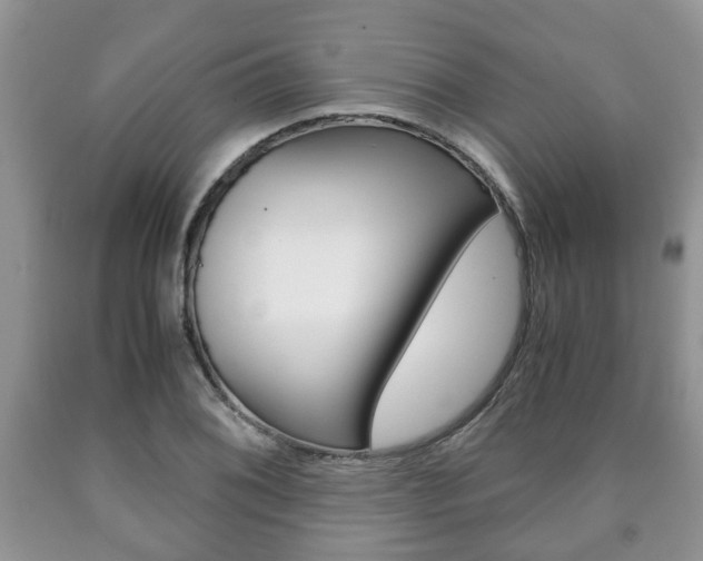 X0000090761076200707201049