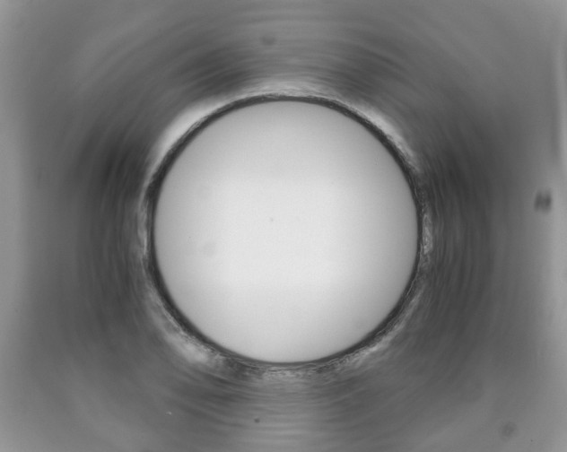 X0000090761078200707201049