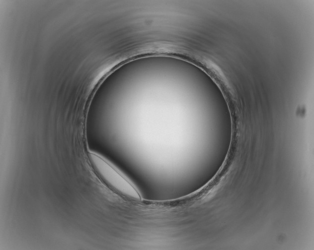 X0000090761081200707201049