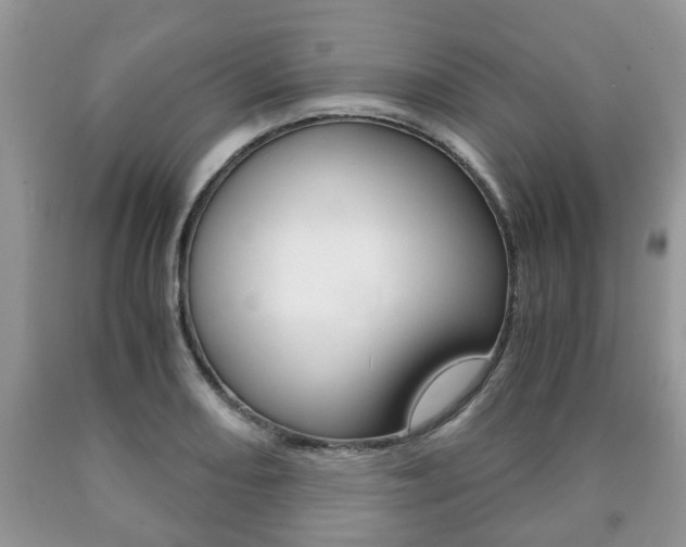 X0000090761082200707201049