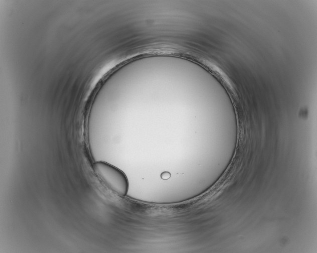 X0000090761083200707201049