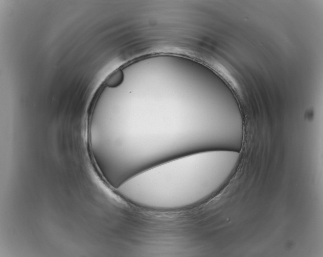 X0000090761084200707201049